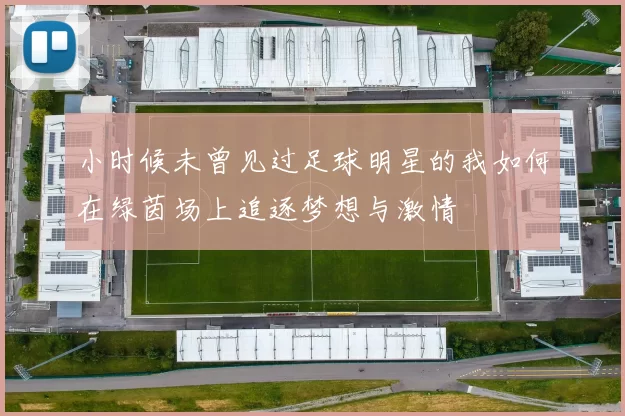 小时候未曾见过足球明星的我如何在绿茵场上追逐梦想与激情