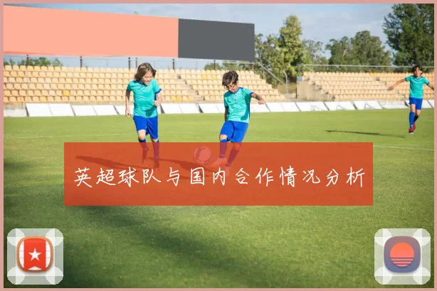 英超球队与国内合作情况分析