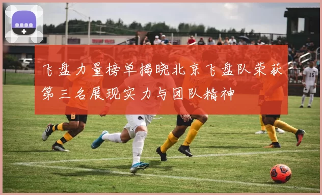 飞盘力量榜单揭晓北京飞盘队荣获第三名展现实力与团队精神