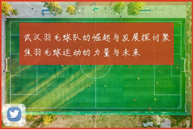 武汉羽毛球队的崛起与发展探讨聚焦羽毛球运动的力量与未来
