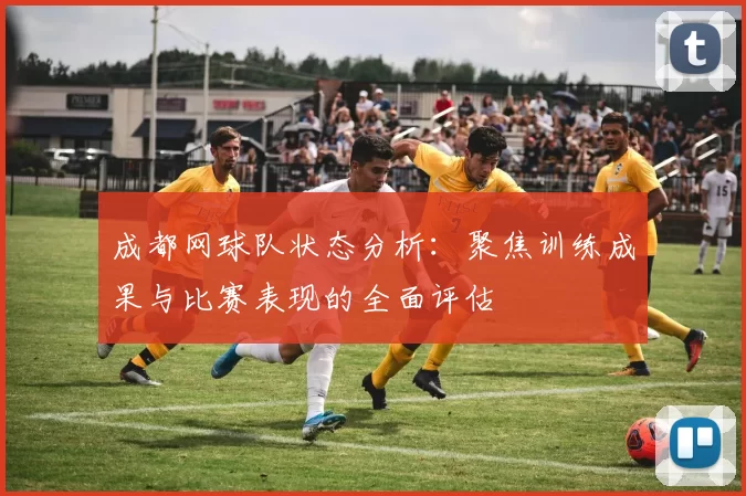 成都网球队状态分析：聚焦训练成果与比赛表现的全面评估