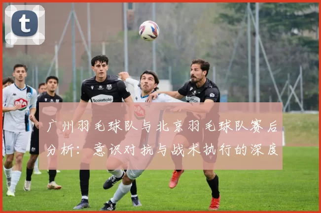 广州羽毛球队与北京羽毛球队赛后分析：意识对抗与战术执行的深度探讨