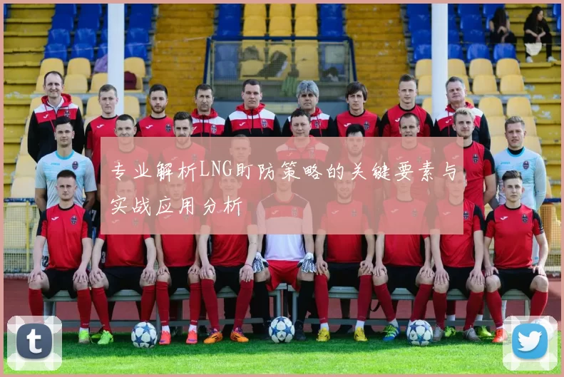 专业解析LNG盯防策略的关键要素与实战应用分析