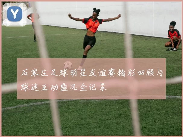 石家庄足球明星友谊赛精彩回顾与球迷互动盛况全记录