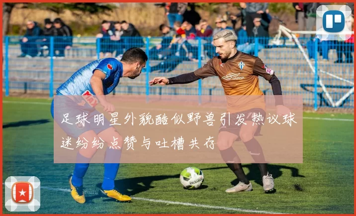 足球明星外貌酷似野兽引发热议球迷纷纷点赞与吐槽共存