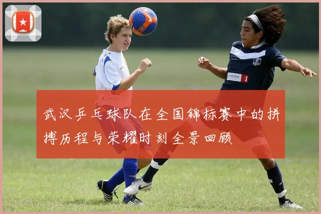 武汉乒乓球队在全国锦标赛中的拼搏历程与荣耀时刻全景回顾