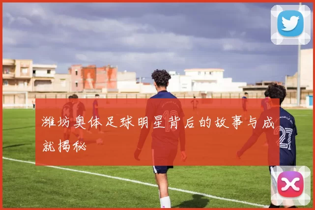 潍坊奥体足球明星背后的故事与成就揭秘