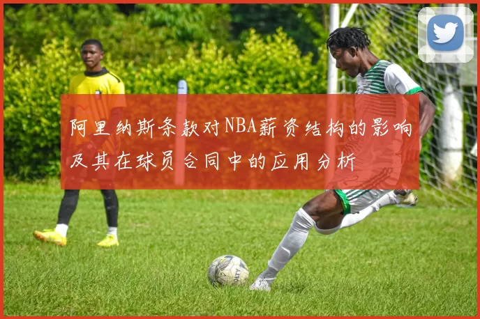 阿里纳斯条款对NBA薪资结构的影响及其在球员合同中的应用分析