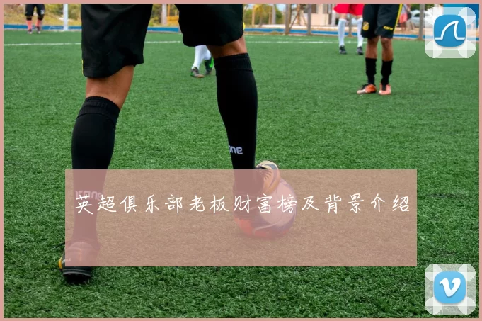 英超俱乐部老板财富榜及背景介绍