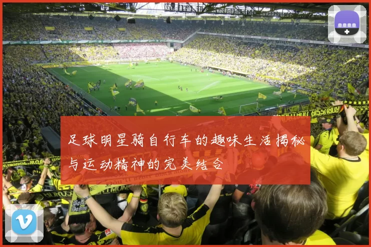足球明星骑自行车的趣味生活揭秘与运动精神的完美结合