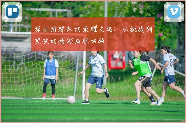 深圳排球队的荣耀之路：从挑战到突破的精彩历程回顾