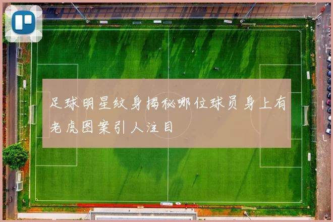 足球明星纹身揭秘哪位球员身上有老虎图案引人注目