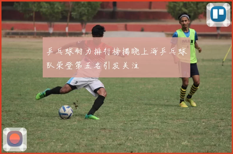乒乓球耐力排行榜揭晓上海乒乓球队荣登第五名引发关注