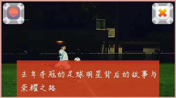 去年夺冠的足球明星背后的故事与荣耀之路