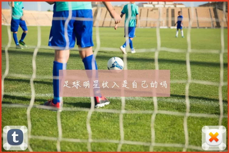 足球明星收入是自己的吗
