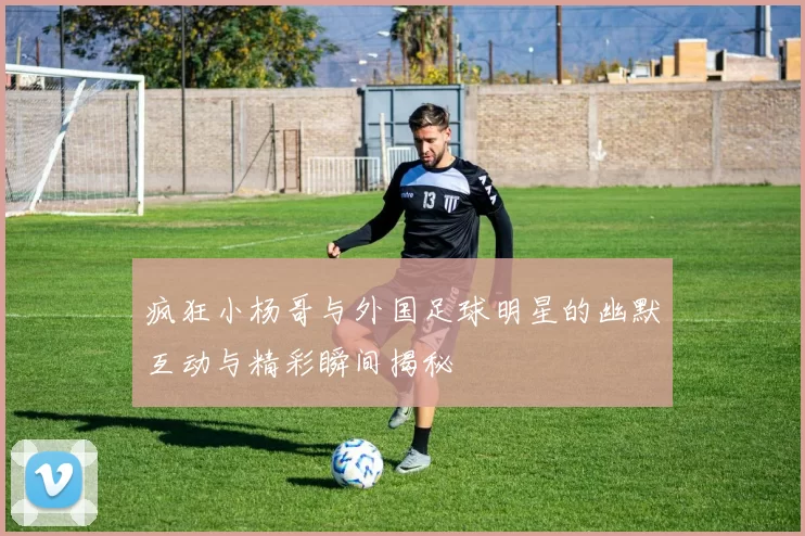 疯狂小杨哥与外国足球明星的幽默互动与精彩瞬间揭秘