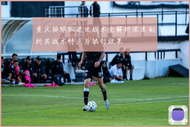 重庆排球队进攻战术全解析深度剖析其战术特点与执行效果
