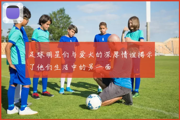 足球明星们与爱犬的深厚情谊揭示了他们生活中的另一面