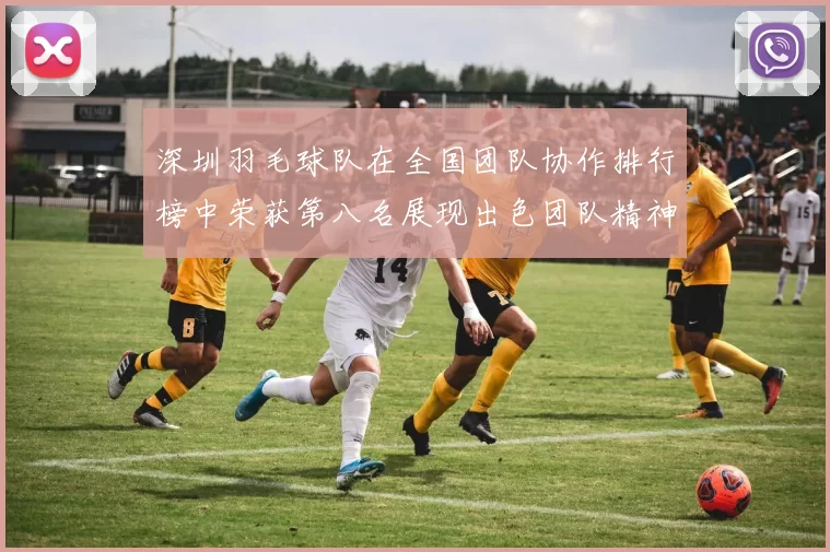 深圳羽毛球队在全国团队协作排行榜中荣获第八名展现出色团队精神与实力