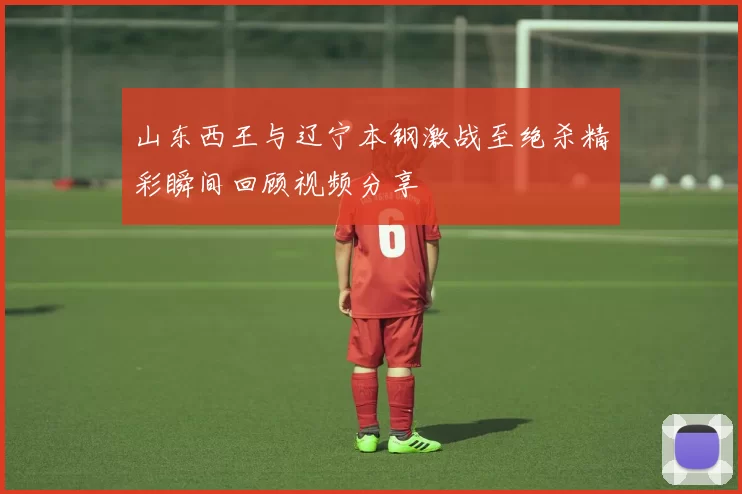 山东西王与辽宁本钢激战至绝杀精彩瞬间回顾视频分享