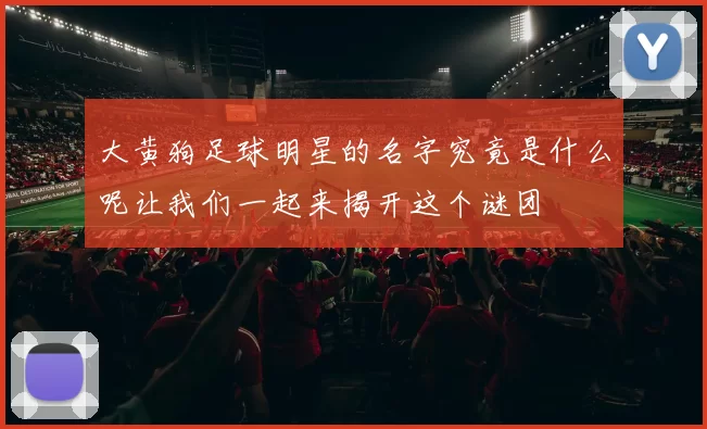 大黄狗足球明星的名字究竟是什么呢让我们一起来揭开这个谜团