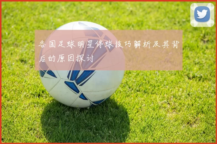 各国足球明星停球技巧解析及其背后的原因探讨