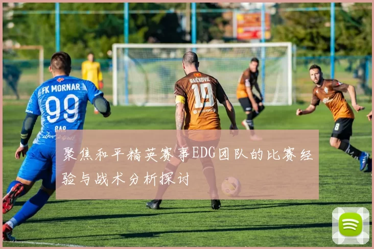 聚焦和平精英赛事EDG团队的比赛经验与战术分析探讨
