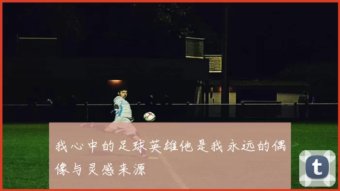 我心中的足球英雄他是我永远的偶像与灵感来源
