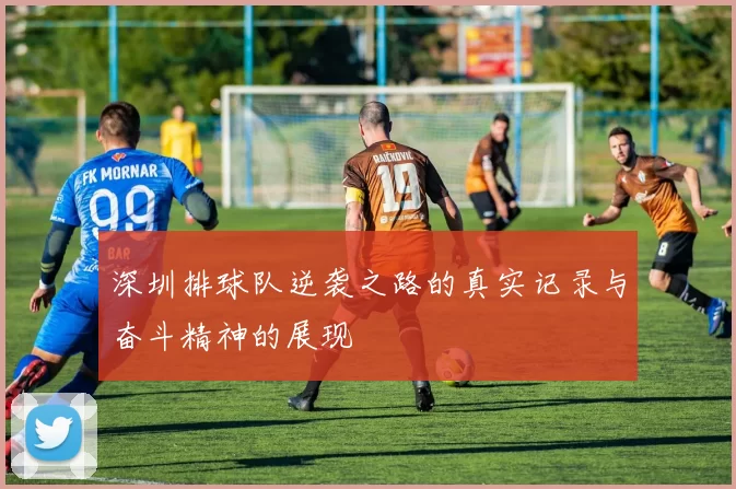 深圳排球队逆袭之路的真实记录与奋斗精神的展现