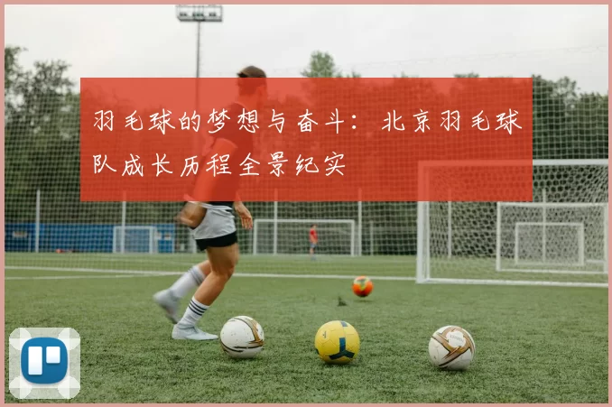 羽毛球的梦想与奋斗：北京羽毛球队成长历程全景纪实