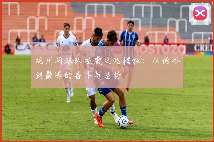 杭州网球队逆袭之路揭秘：从低谷到巅峰的奋斗与坚持