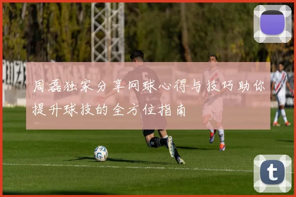 周磊独家分享网球心得与技巧助你提升球技的全方位指南