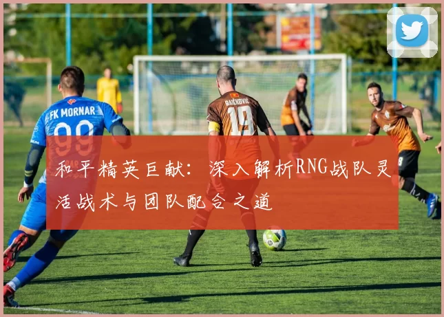 和平精英巨献：深入解析RNG战队灵活战术与团队配合之道